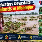 floodwaters devastate farmlands in nisampur