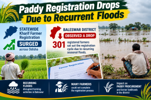 paddy registration drops due to recurrent floods